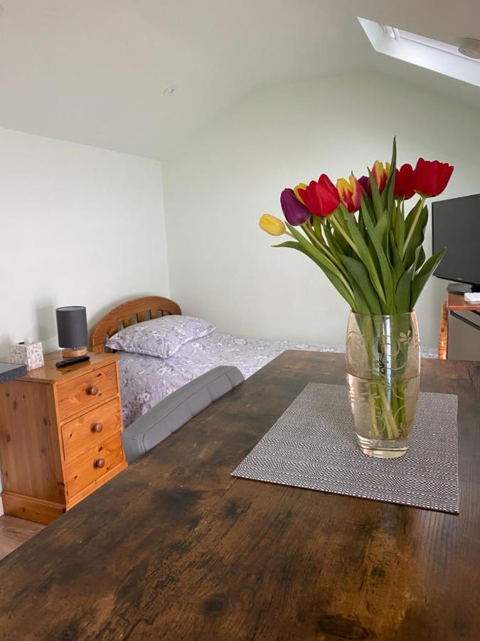 科尔切斯特Cosy 1 Bed Garden Annexe公寓 外观 照片